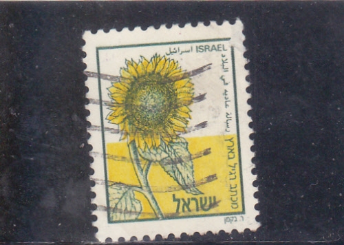 GIRASOL