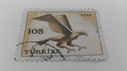 Aguila