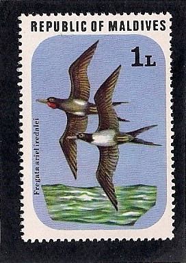 Aves