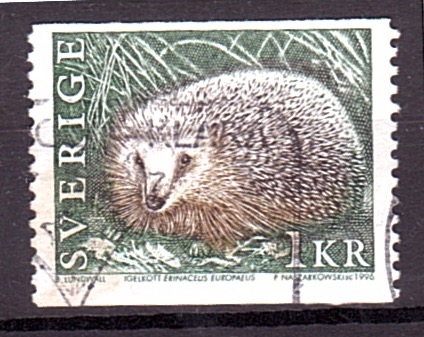 serie- Fauna salvaje, Erizo