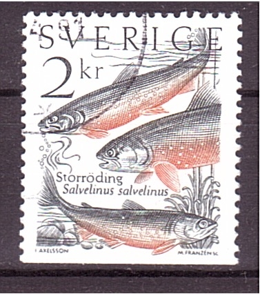 serie- Peces