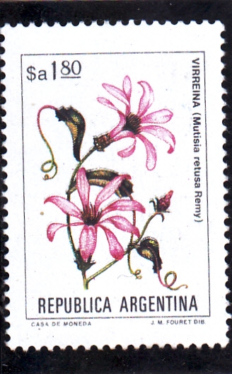 FLORES- VIRREINA