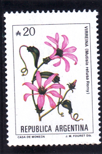 FLORES-VIRREINA