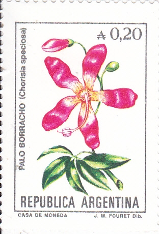 FLORES-PALO BORRACHO 