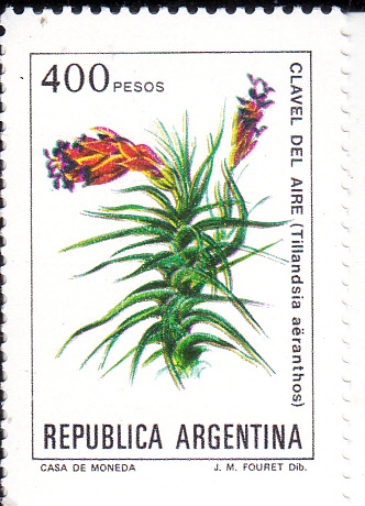 FLORES-CLAVEL DEL AIRE 