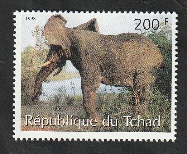 Elefante