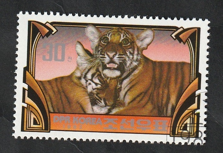 Tigres
