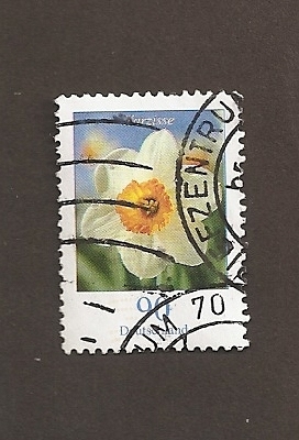 Narciso