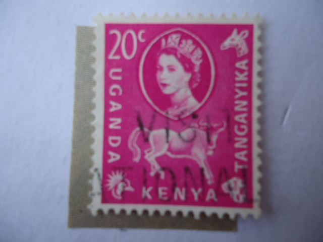 Ñu ((Connochaites Ep)-Äfrica del Este Británica. Queen Elizabeth II.
