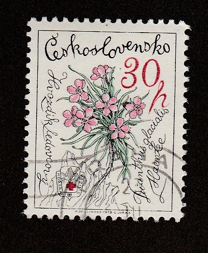 Flor de dios
