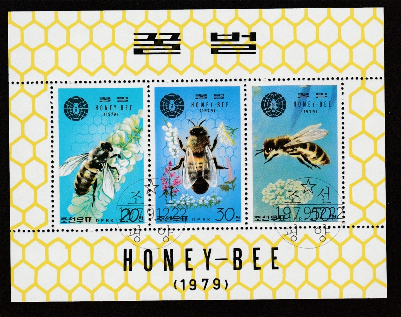 Abeja