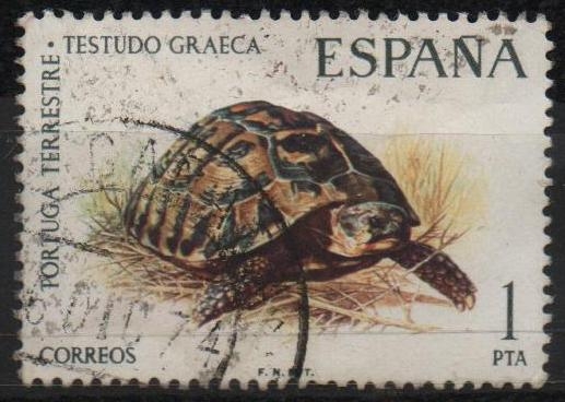 Fauna Hispanica 