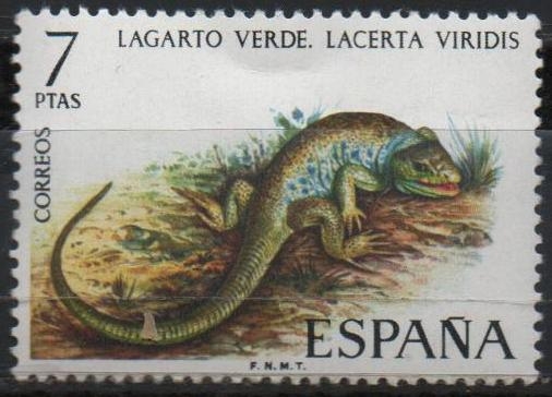 Fauna Hispanica 