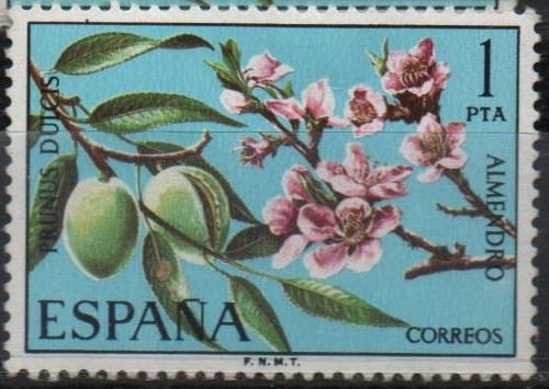 Almendro