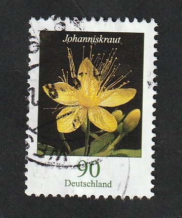 3094 - Flor