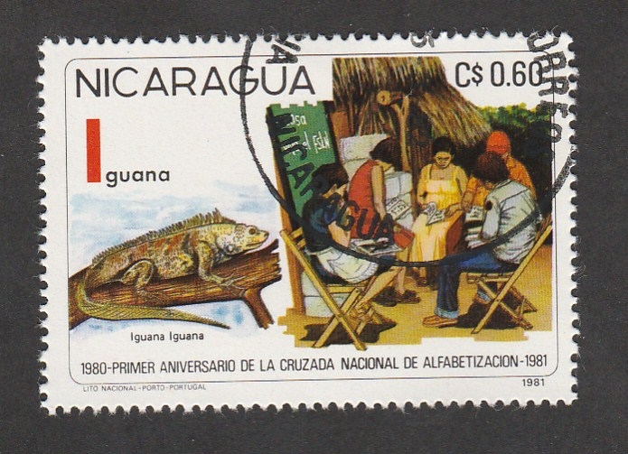 Iguana