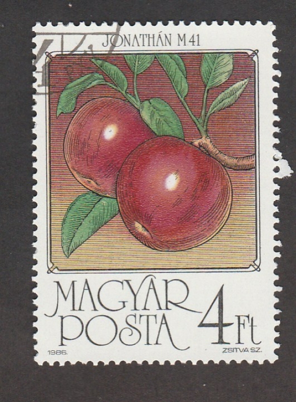 Manzanas