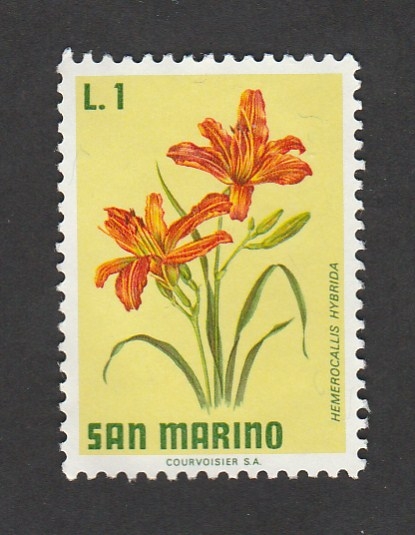 Flor Hemerocallis hybrida