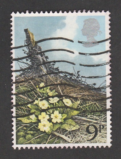 Flores en un montículo