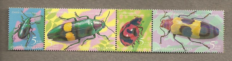 Insectos