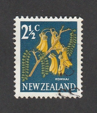 kowhai, planta leguminosa y leñosa