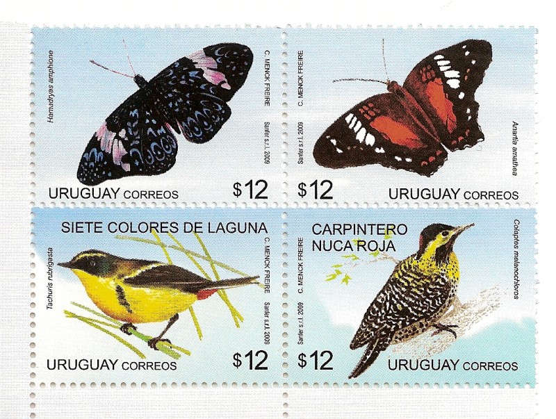 Fauna. Mariposas y aves. (Bloque de cuatro.)