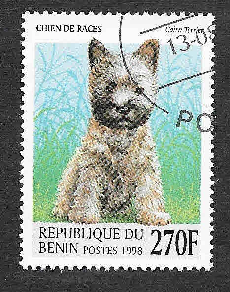 1090 - Perro