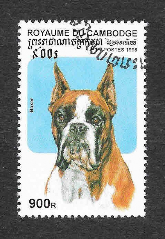 1736 - Perro