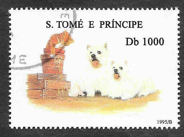 1242 - Perro y Gato