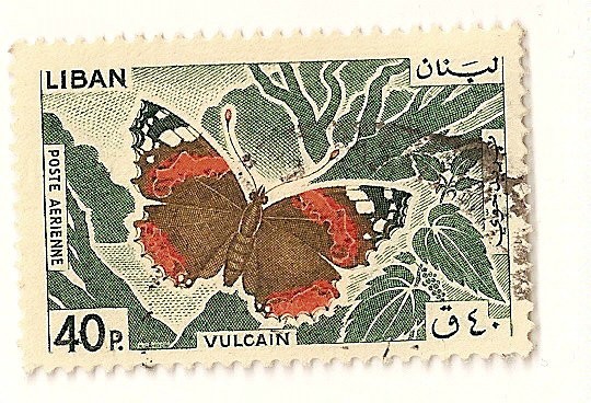 Mariposa. Red admiral vulcano.