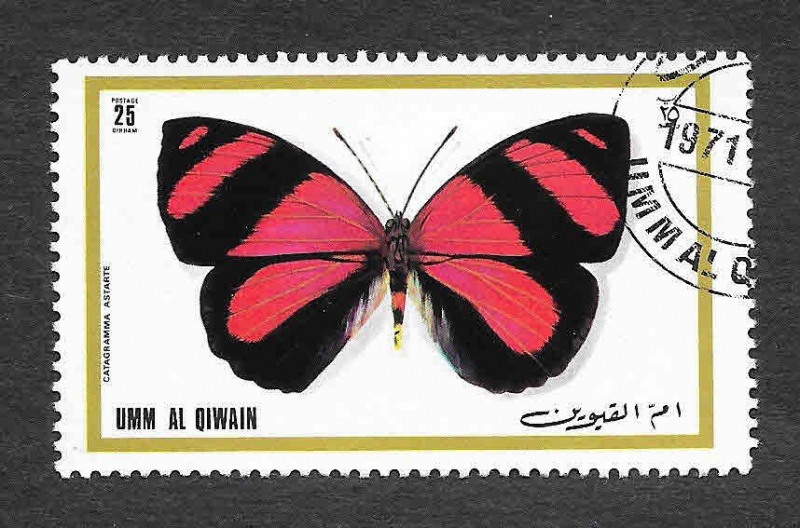 Mi627A - Mariposas
