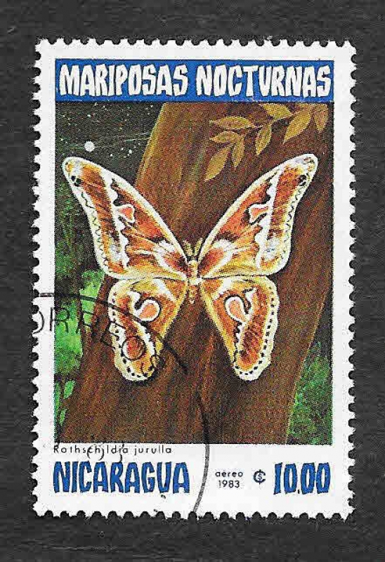 1236 - Mariposas Nocturnas