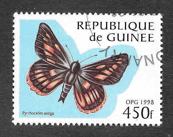 1428 - Mariposa