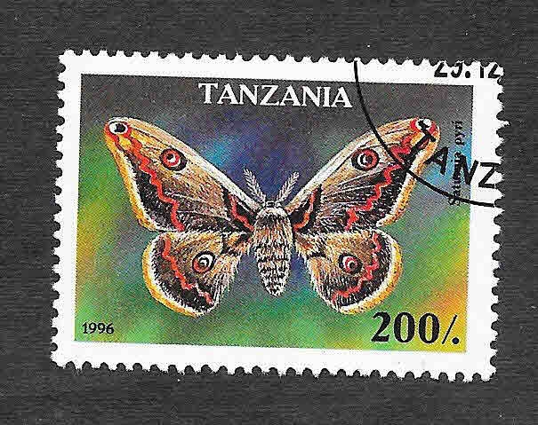 1448 - Mariposa