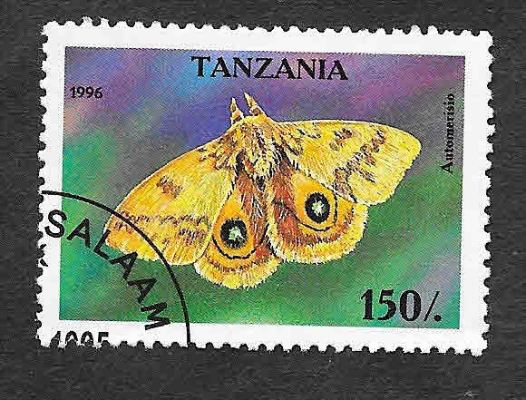1447 - Mariposa