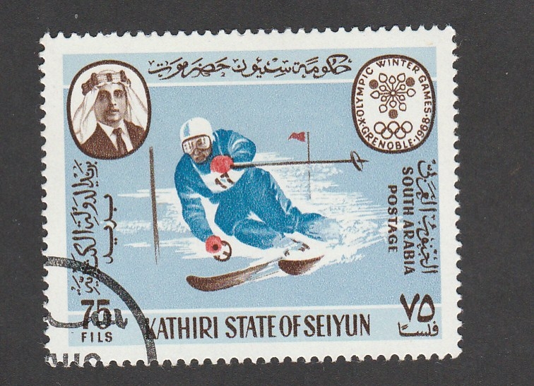 Competición de ski