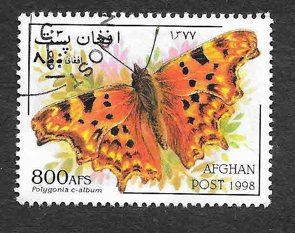 Mi1800 - Mariposas