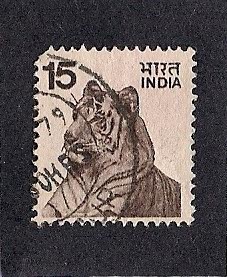 Tigre