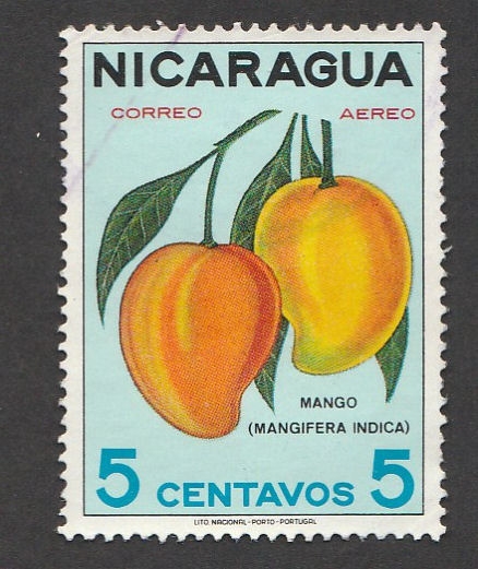 Mango
