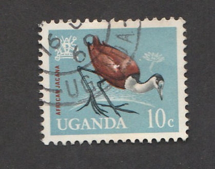Ave africana Jacana
