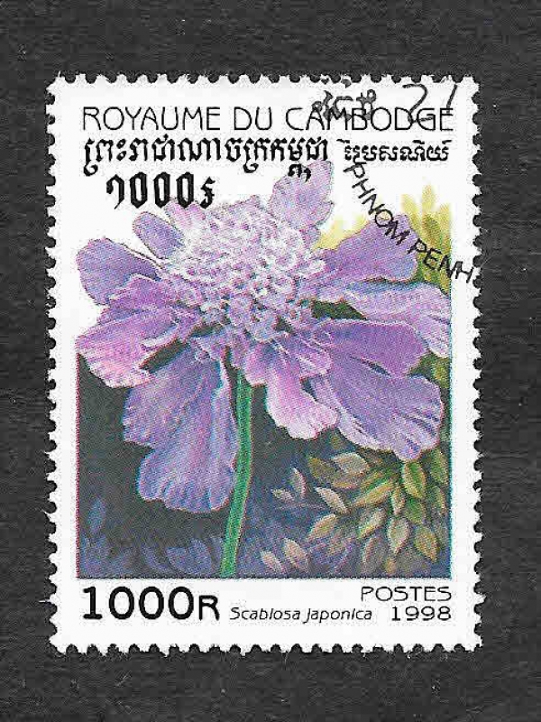 1761 - Scabiosa japonica