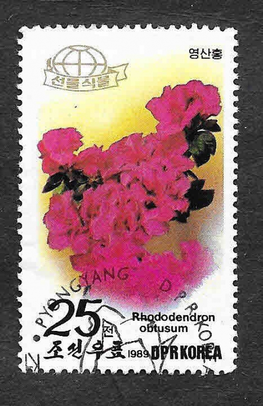 2852 - Azalea