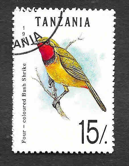 980 - Malaconotidae de 4 Colores