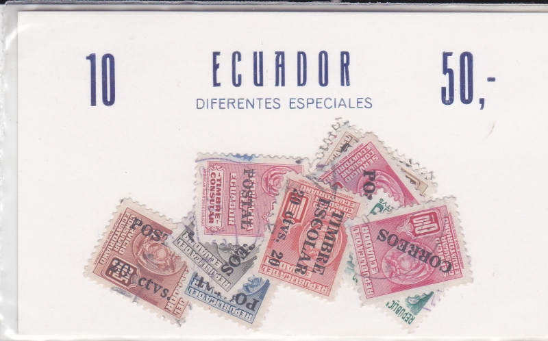 bolsa diferentes