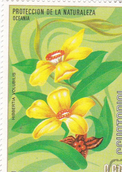 FLORES- PROTECCIÓN DE LA NATURALEZA