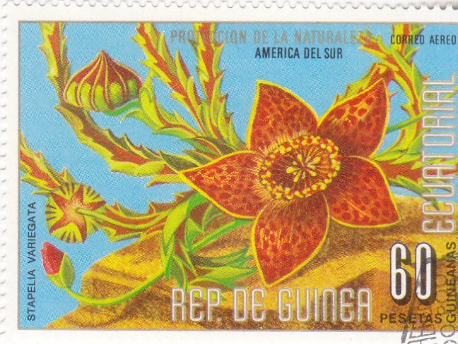 FLORES- PROTECCIÓN DE LA NATURALEZA