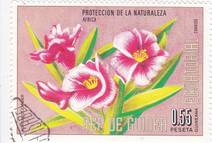FLORES- PROTECCIÓN DE LA NATURALEZA