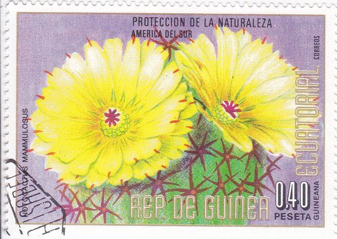 FLORES- PROTECCIÓN DE LA NATURALEZA