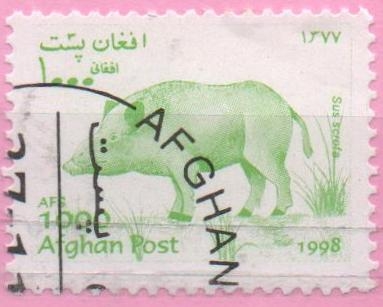 Jabali