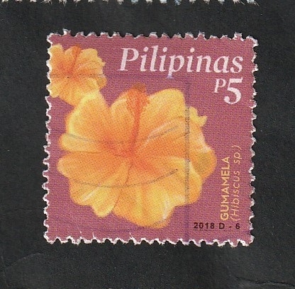Flor, Hibiscus